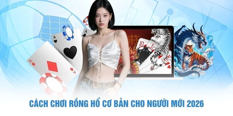 Cách chơi Rồng Hổ cơ bản cho người mới 2026