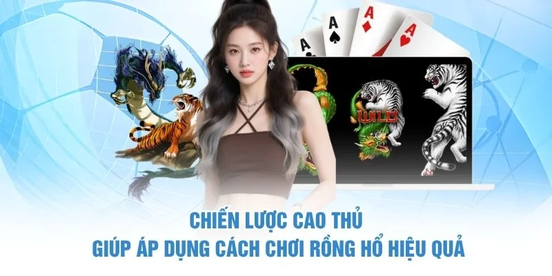Chiến lược cao thủ giúp áp dụng cách chơi Rồng Hổ hiệu quả