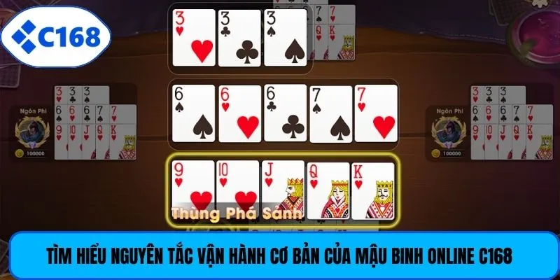 Tìm hiểu nguyên tắc vận hành cơ bản của Mậu Binh online C168
